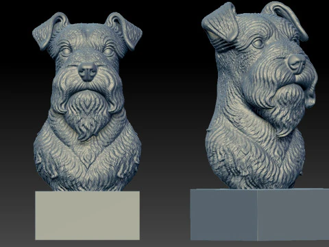 Miniature Schnauzer - Dwarf Schnauzer Dog model - 3D print 3D Print Model