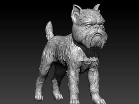 Griffon Bruxellois Dog model - 3D print 3D-printmodel