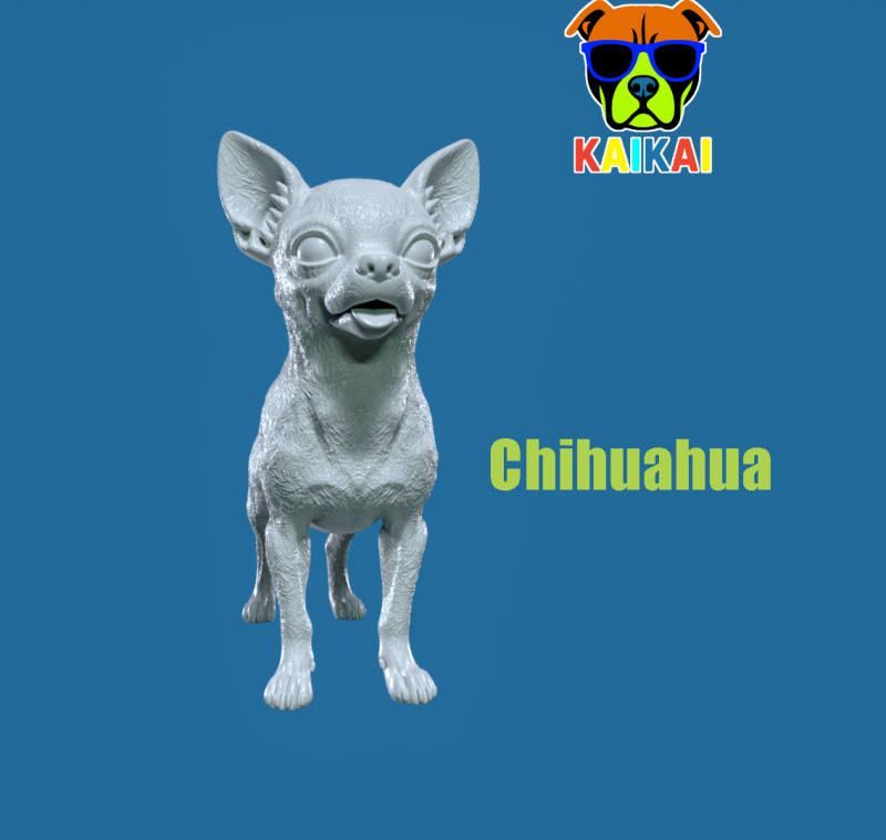 Chihuahua Dog model - 3D print 3D 打印模型 .c4d .max .obj .3ds .fbx .stl .blend
