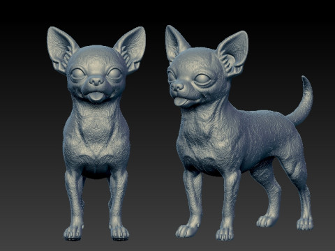 Chihuahua Dog model - 3D print 3D Baskı Modeli