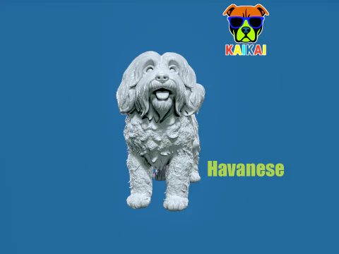 Modell eines Havaneser-Kubaner-Bichon-Hundes &ndash; 3D-Druck 3D Druckmodell