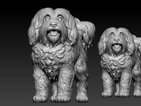 Havanese Cuban Bichon Dog model - 3D print 3D प्रिंट मॉडल