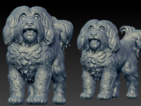 Havanese Cuban Bichon Dog model - 3D print 3D प्रिंट मॉडल