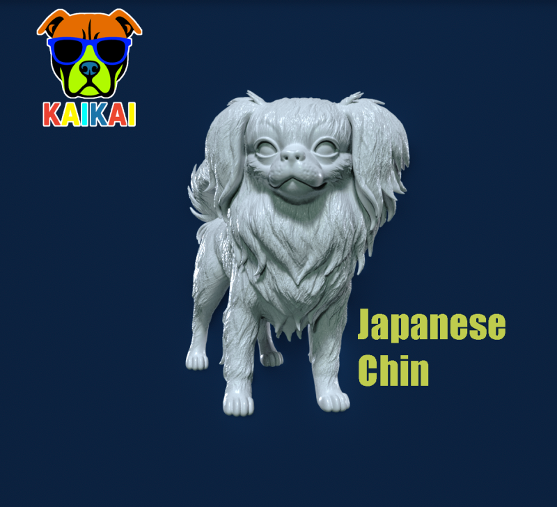 Japanese Chin Dog - Japanese Spaniel Dog - 3D print 3D प्रिंट मॉडल .c4d .max .obj .3ds .fbx .stl .blend 