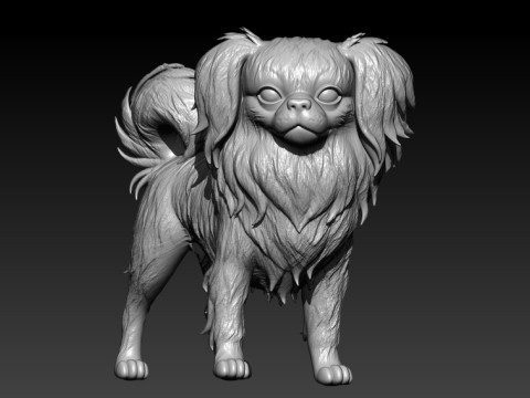 Japanese Chin Dog - Japanese Spaniel Dog - 3D print 3D प्रिंट मॉडल