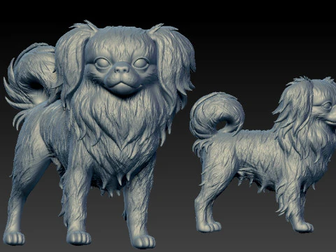 Japanese Chin Dog - Japanese Spaniel Dog - 3D print 3D Print Model