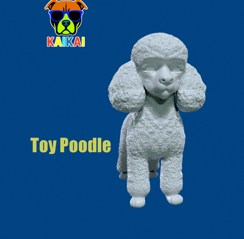 Toy Poodle Dog - Poodle Dog - 3D print 3D 打印模型 .c4d .max .obj .3ds .fbx .stl .blend