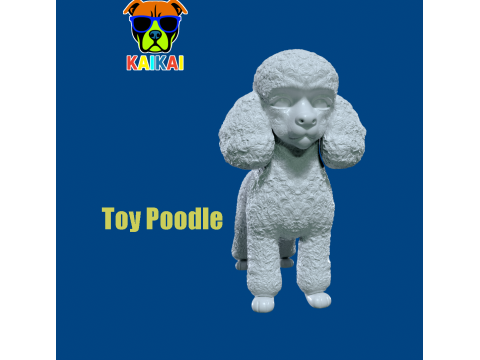 Toy Poodle Dog - Poodle Dog - 3D print Modello di stampa 3D