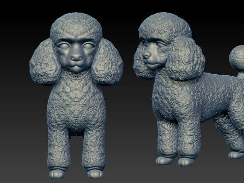 Toy Poodle Dog - Poodle Dog - 3D print 3D 打印模型