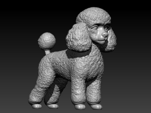 Toy Poodle Dog - Poodle Dog - 3D print 3D 打印模型