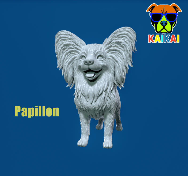 Papillon dog - Squirrel dog - 3D print Modelo de impresión 3D .c4d .max .obj .3ds .fbx .stl .blend