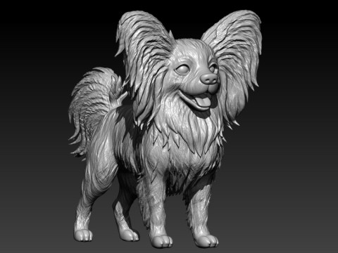 Papillon dog - Squirrel dog - 3D print Modelo de impresión 3D