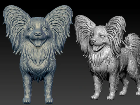 Papillon dog - Squirrel dog - 3D print 3D Print Model