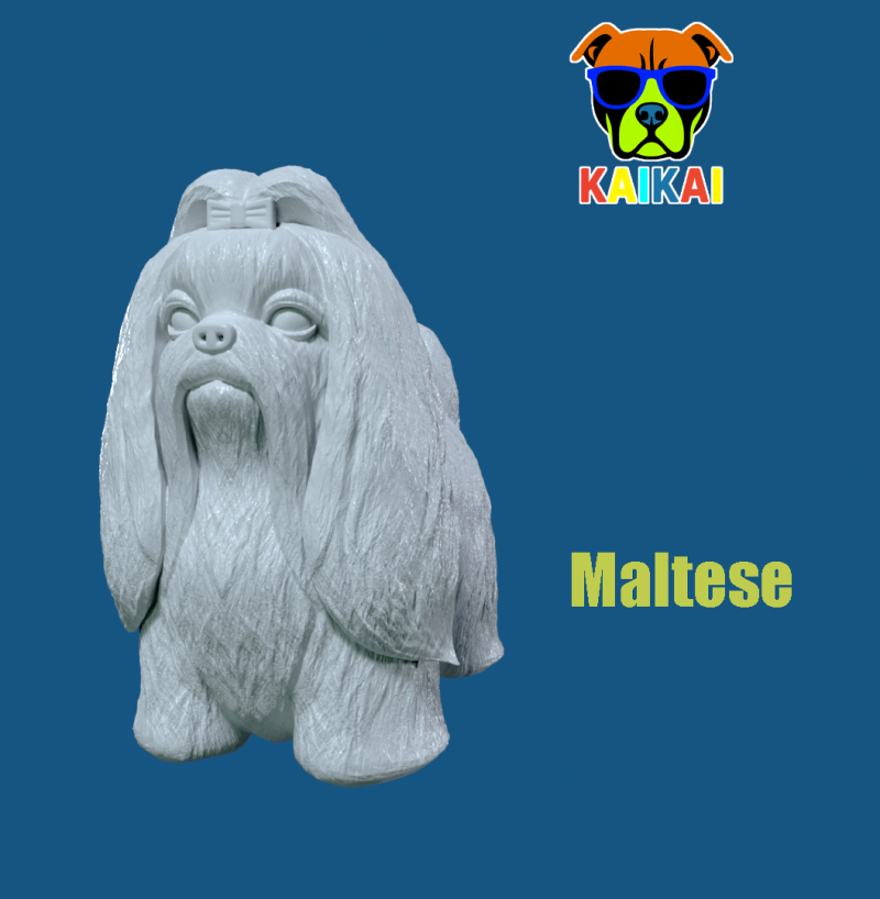 Maltese dog model - 3D print 3D 프린트 모델 .c4d .max .obj .3ds .fbx .stl .blend