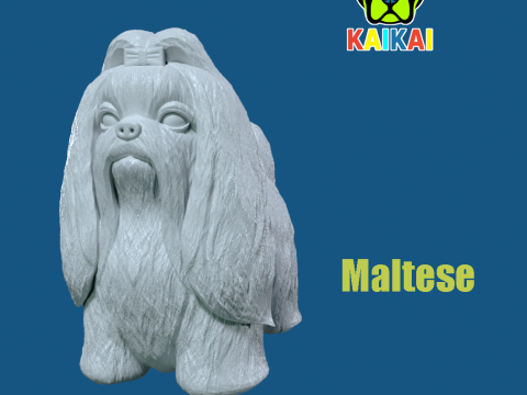 Maltese dog model - 3D print 3D Print Model