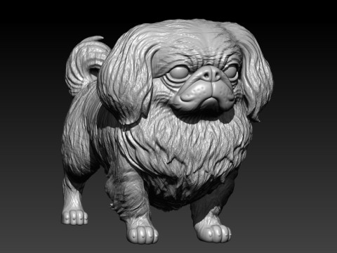 Pekingese Dog Beijing - 3D print Model Cetak 3D