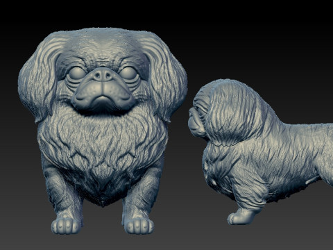 Pekingese Dog Beijing - 3D print Model Cetak 3D