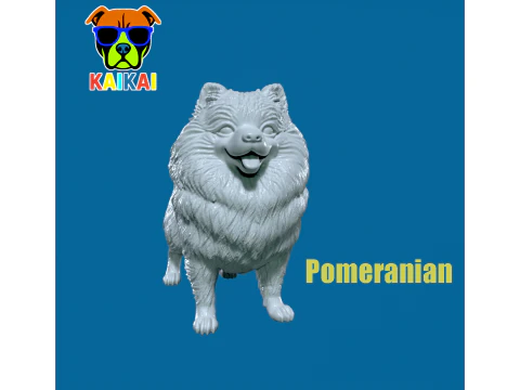 Chien de Pom&eacute;ranie - Chien Spitz allemand - Impression 3D Modèles 3D en vedette