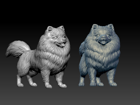 Pomeranian dog - German Toy Spitz Dog - 3D print 3D Принт Модель
