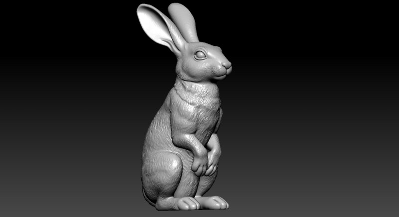 Rabbit head- Riverine Rabbit Bust model - 3D print Modelo de Impressão 3D .c4d .max .obj .3ds .fbx .stl .blend