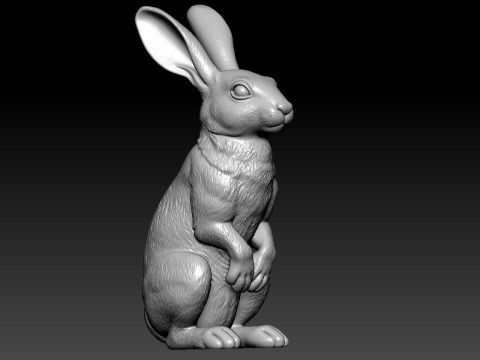 Rabbit head- Riverine Rabbit Bust model - 3D print 3D प्रिंट मॉडल