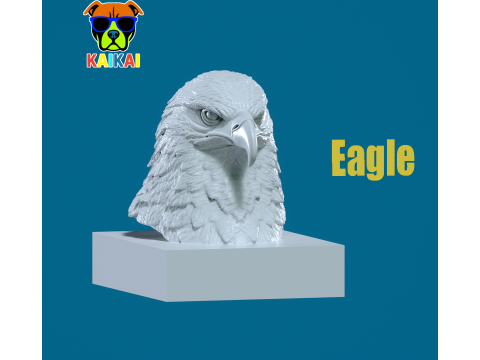 Eagle bust - Hawk head model - 3D print 3D Baskı Modeli
