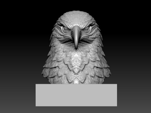 Eagle bust - Hawk head model - 3D print 3D Baskı Modeli