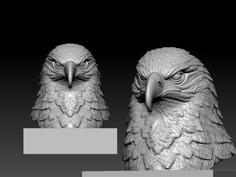 Eagle bust - Hawk head model - 3D print 3D Baskı Modeli