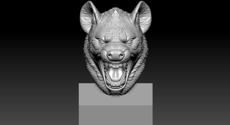 Ferocious Hyena bust model - 3D print 3D 打印模型 .c4d .max .obj .3ds .fbx .stl .blend