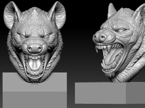 Ferocious Hyena bust model - 3D print 3D 打印模型