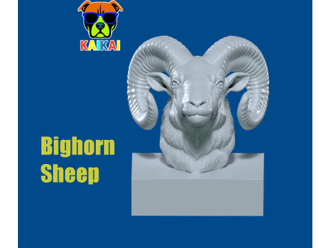 Bighorn sheep head model - 3D print 3D-Druckmodell