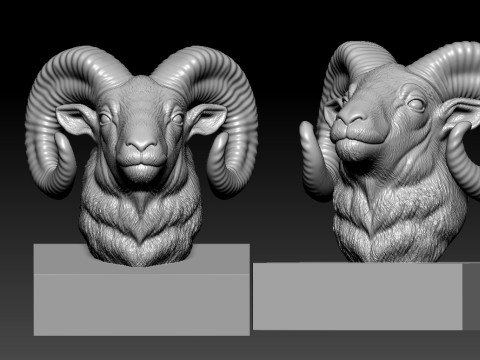 Bighorn sheep head model - 3D print 3D प्रिंट मॉडल