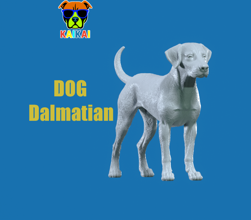 Dalmatian Dog bust model - 3D print 3D Принт Модель .c4d .max .obj .3ds .fbx .stl .blend