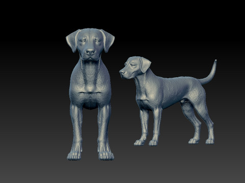 Dalmatian Dog bust model - 3D print 3D Принт Модель