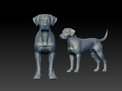 Dalmatian Dog bust model - 3D print 3D Print Model