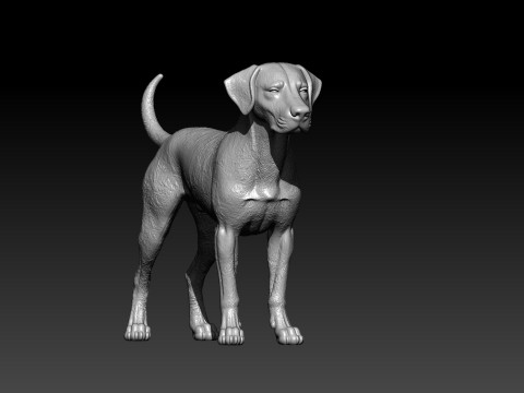 Dalmatian Dog bust model - 3D print 3D Принт Модель