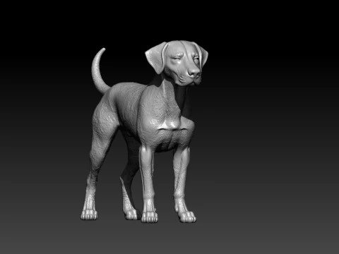 Dalmatian Dog bust model - 3D print 3D Print Model