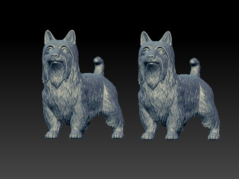 Silky Terrier Terrier Dog model - 3D print 3D Print Model