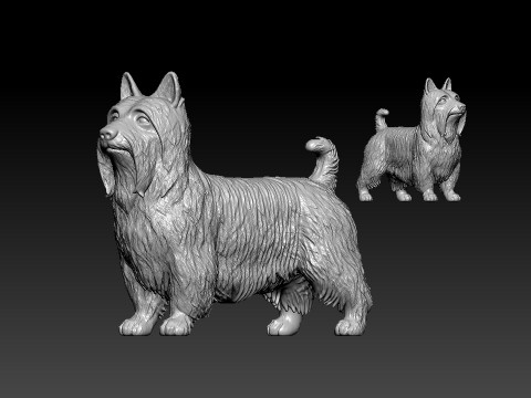 Silky Terrier Terrier Dog model - 3D print 3D Print Model