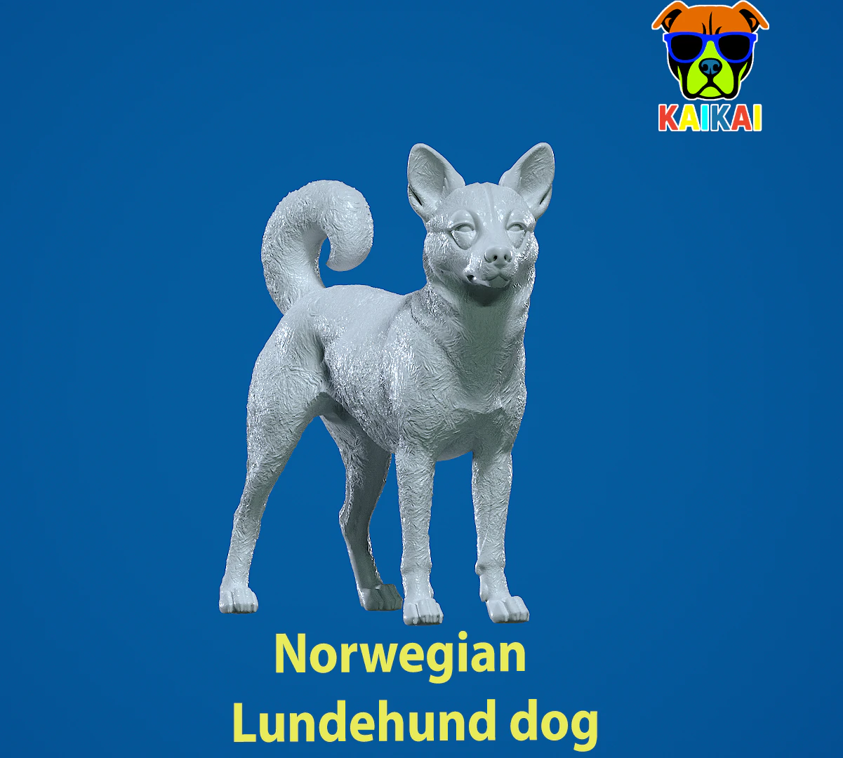 Norwegian Lundehund Dog - Norwegian Puffin Dog - 3D print 3D Print Model .c4d .max .obj .3ds .fbx .stl .blend 