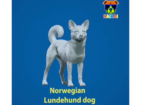 C&atilde;o Lundehund Noruegu&ecirc;s - C&atilde;o Puffin Noruegu&ecirc;s - Impress&atilde;o 3D Modelo de Impressão 3D
