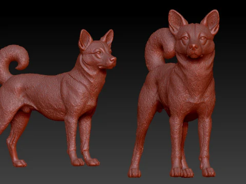 Norwegian Lundehund Dog - Norwegian Puffin Dog - 3D print 3D Print Model