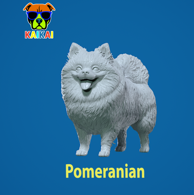 Pomeranian dog - German Toy Spitz Dog - 3D print 3D 프린트 모델 .c4d .max .obj .3ds .fbx .stl .blend