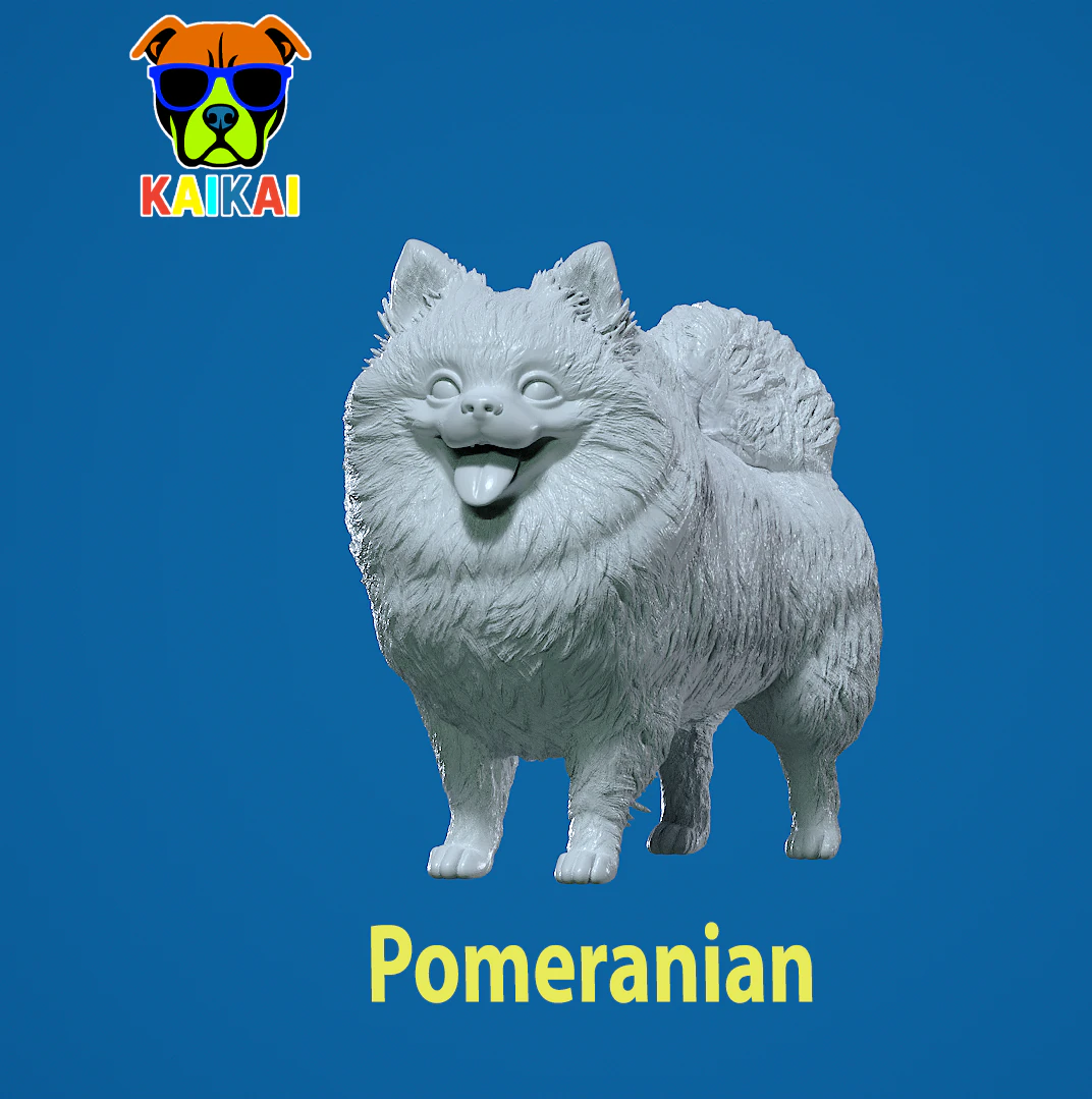 Pomeranian dog - German Toy Spitz Dog - 3D print 3D Print Model .c4d .max .obj .3ds .fbx .stl .blend 
