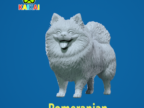 Pomeranian dog - German Toy Spitz Dog - 3D print 3D प्रिंट मॉडल