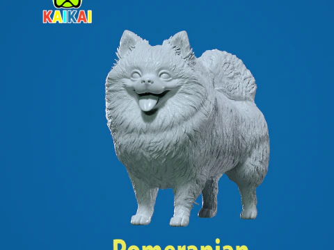 Pommeren hond - Duitse Toy Spitz Dog - 3D print 3D printmodel