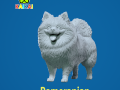 Pomeranian dog - German Toy Spitz Dog - 3D print 3D प्रिंट मॉडल