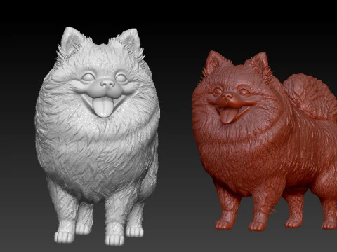 Pomeranian dog - German Toy Spitz Dog - 3D print 3D Print Model