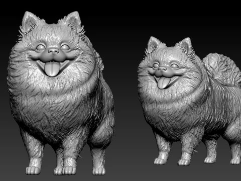 Pomeranian dog - German Toy Spitz Dog - 3D print 3D Print Model