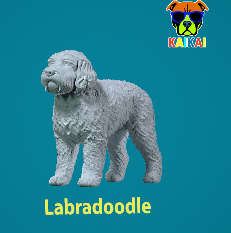 Labradoodle Dog statue - decor - 3D print 3D 打印模型 .c4d .max .obj .3ds .fbx .stl .blend